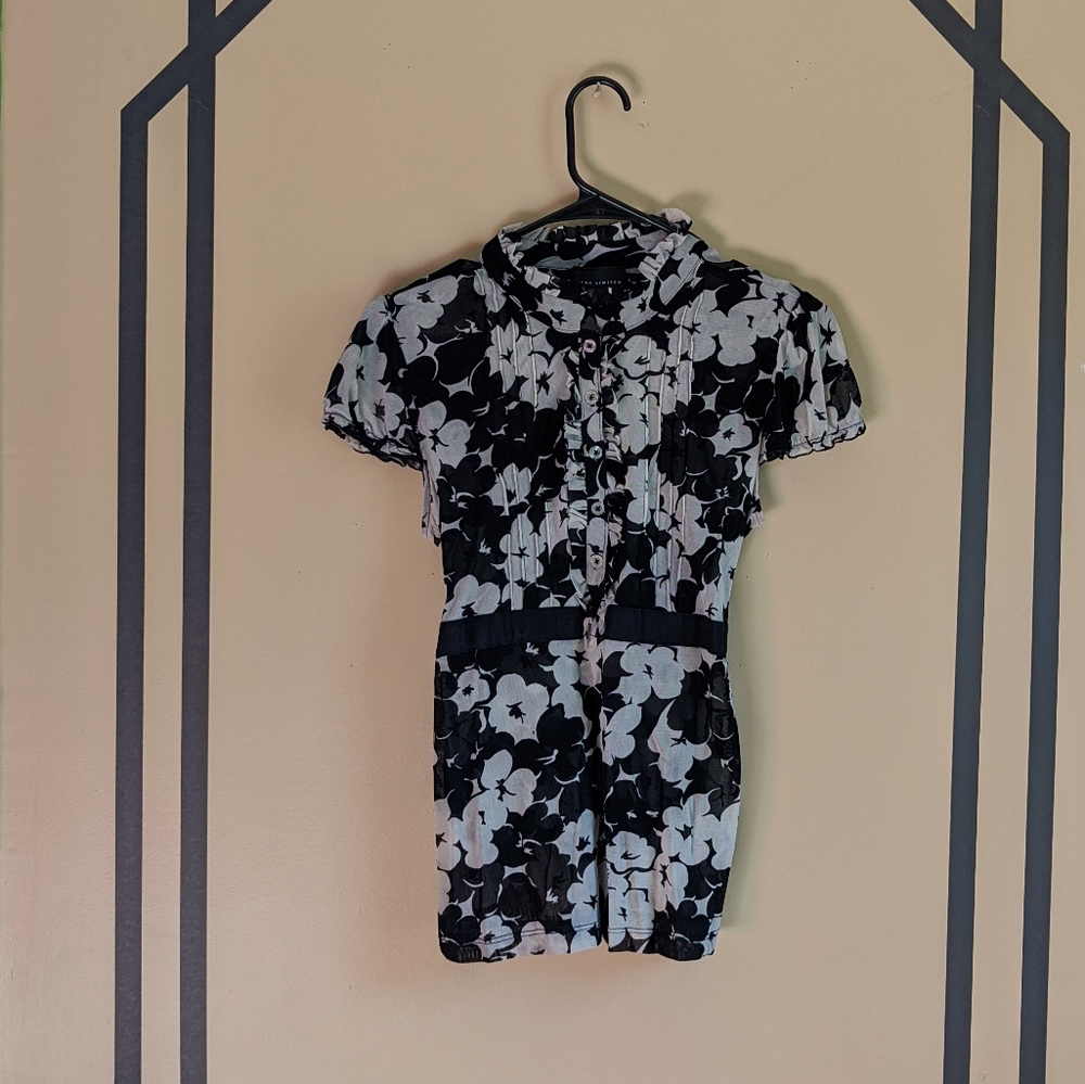 EUC The Limited Women's Shear Blouse